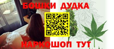 мдпв Партизанск