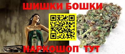 тгк Обь