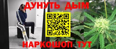 тгк Обь